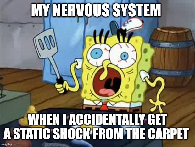 My nervous system is a bloody wreck after a shock | MY NERVOUS SYSTEM; WHEN I ACCIDENTALLY GET A STATIC SHOCK FROM THE CARPET | image tagged in crazy spongebob | made w/ Imgflip meme maker