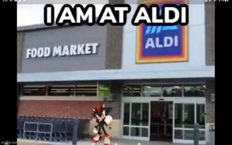 image tagged in sonic,sonic the hedgehog,aldi,shadow,shadow the hedgehog | made w/ Imgflip meme maker