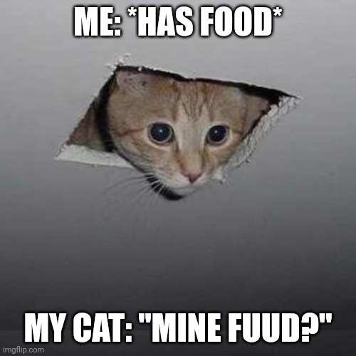 Kitteh | ME: *HAS FOOD*; MY CAT: "MINE FUUD?" | image tagged in memes,ceiling cat,food | made w/ Imgflip meme maker