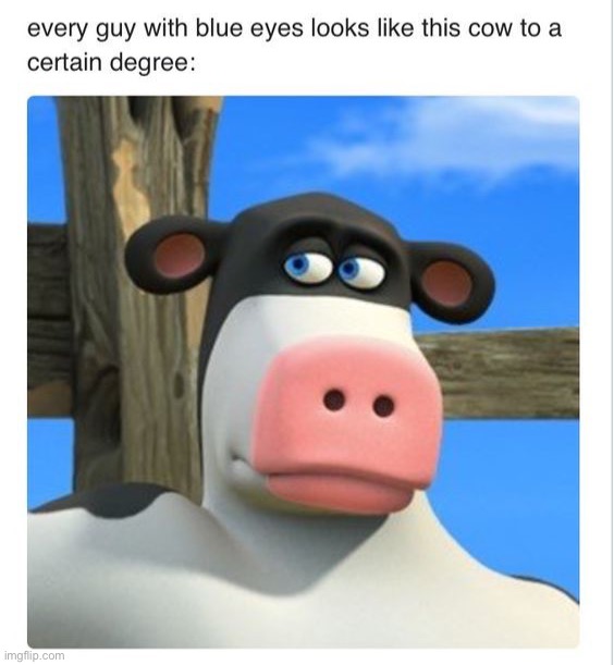 image tagged in memes,funny | made w/ Imgflip meme maker