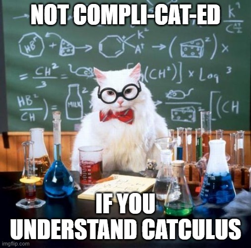 Not Compli-Cat-ed | NOT COMPLI-CAT-ED; IF YOU UNDERSTAND CATCULUS | image tagged in memes,chemistry cat | made w/ Imgflip meme maker