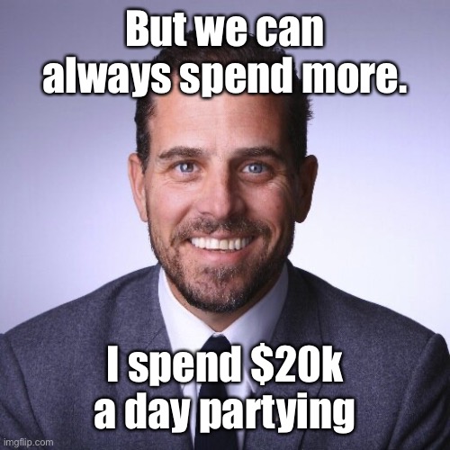 Hunter Biden | But we can always spend more. I spend $20k a day partying | image tagged in hunter biden | made w/ Imgflip meme maker