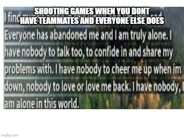 they seem a bit lonely | SHOOTING GAMES WHEN YOU DONT HAVE TEAMMATES AND EVERYONE ELSE DOES | image tagged in certified bruh moment,lonely | made w/ Imgflip meme maker