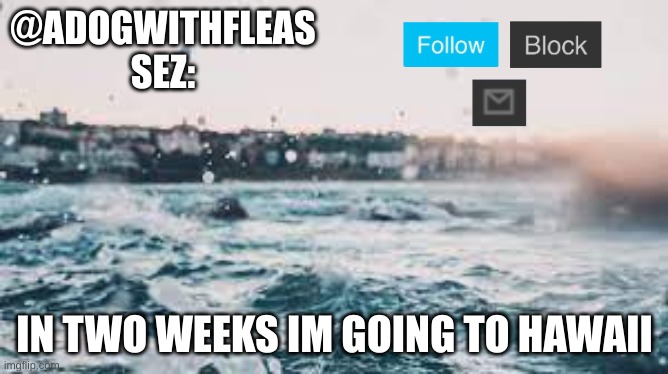 @ADOGWITHFLEAS SEZ:; IN TWO WEEKS IM GOING TO HAWAII | made w/ Imgflip meme maker