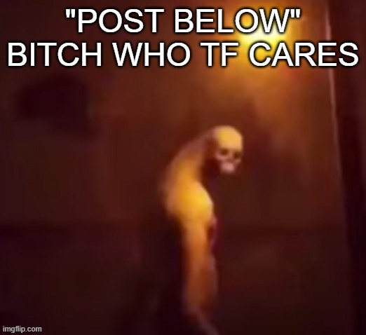Your IP Address Is On The Internet | "POST BELOW" BITCH WHO TF CARES | image tagged in your ip address is on the internet | made w/ Imgflip meme maker