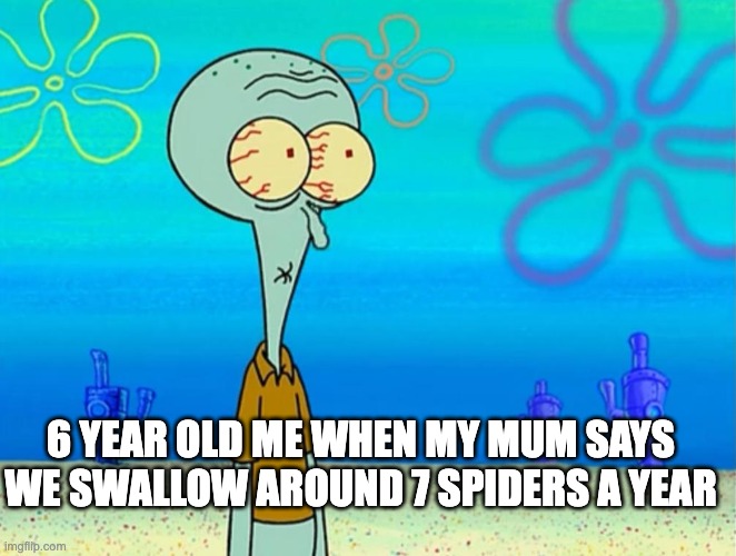 Lies Your Parents Told You 3 | 6 YEAR OLD ME WHEN MY MUM SAYS WE SWALLOW AROUND 7 SPIDERS A YEAR | image tagged in lies,bad parents | made w/ Imgflip meme maker