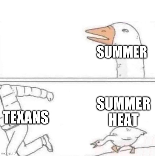 Goose Chase | SUMMER; SUMMER HEAT; TEXANS | image tagged in goose chase | made w/ Imgflip meme maker