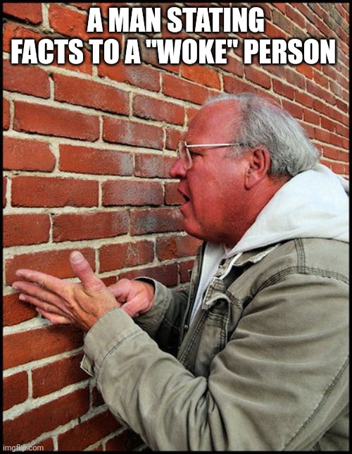 like talking to a brick wall 2 | A MAN STATING FACTS TO A "WOKE" PERSON | image tagged in like talking to a brick wall 2 | made w/ Imgflip meme maker