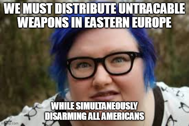 400 lb blue haired ham planet | WE MUST DISTRIBUTE UNTRACABLE WEAPONS IN EASTERN EUROPE; WHILE SIMULTANEOUSLY DISARMING ALL AMERICANS | image tagged in 400 lb blue haired ham planet | made w/ Imgflip meme maker