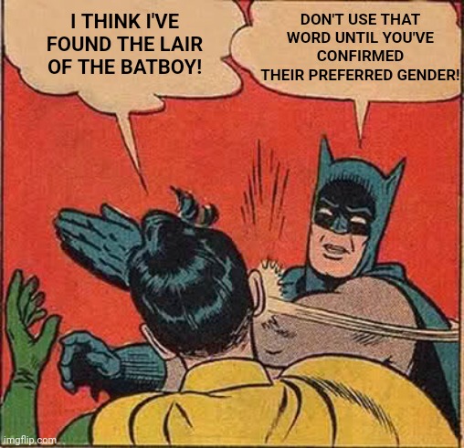 Maybe democrats grew up reading different comics? | I THINK I'VE FOUND THE LAIR OF THE BATBOY! DON'T USE THAT WORD UNTIL YOU'VE CONFIRMED THEIR PREFERRED GENDER! | image tagged in batman slapping robin,gender identity,somethings wrong,liberalism,insanity,democrats | made w/ Imgflip meme maker