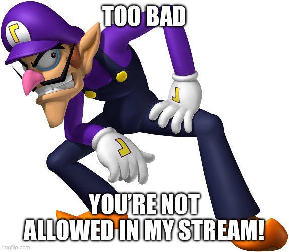 TOO BAD! WALUIGI TIME! | TOO BAD YOU’RE NOT ALLOWED IN MY STREAM! | image tagged in too bad waluigi time | made w/ Imgflip meme maker