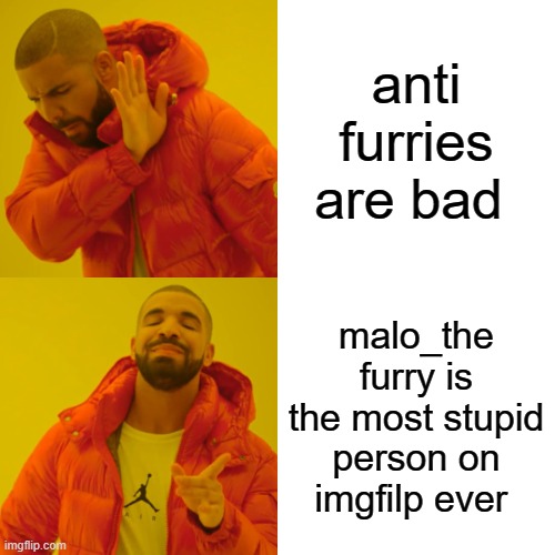 Drake Hotline Bling Meme | anti furries are bad; malo_the furry is the most stupid person on imgfilp ever | image tagged in memes,drake hotline bling | made w/ Imgflip meme maker