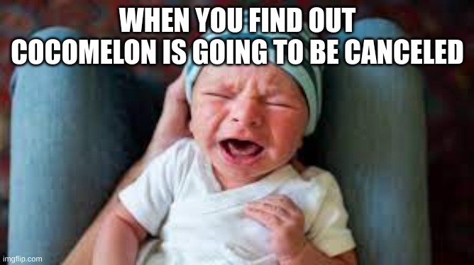 WHENYOUFINDOUTCOCOMELONISGOINGTOBECANCELED | WHEN YOU FIND OUT COCOMELON IS GOING TO BE CANCELED | image tagged in funny | made w/ Imgflip meme maker