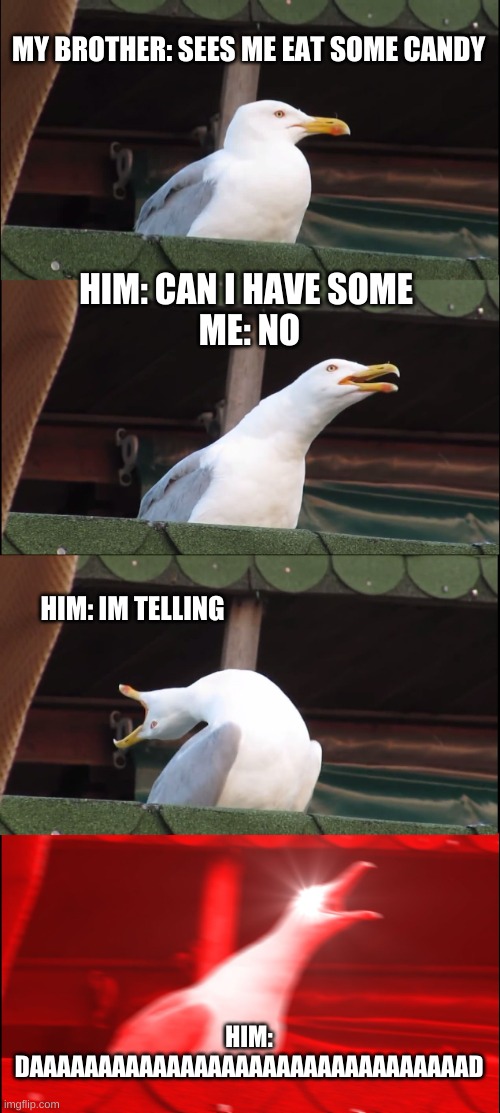 Inhaling Seagull | MY BROTHER: SEES ME EAT SOME CANDY; HIM: CAN I HAVE SOME 
ME: NO; HIM: IM TELLING; HIM: DAAAAAAAAAAAAAAAAAAAAAAAAAAAAAAAAD | image tagged in memes,inhaling seagull | made w/ Imgflip meme maker