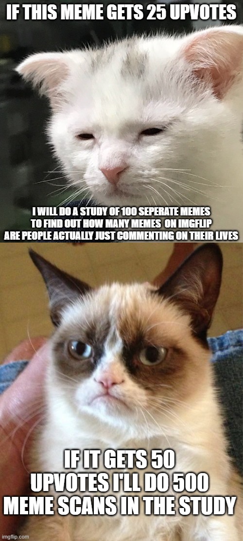 IF THIS MEME GETS 25 UPVOTES; I WILL DO A STUDY OF 100 SEPERATE MEMES TO FIND OUT HOW MANY MEMES  ON IMGFLIP ARE PEOPLE ACTUALLY JUST COMMENTING ON THEIR LIVES; IF IT GETS 50 UPVOTES I'LL DO 500 MEME SCANS IN THE STUDY | image tagged in i'm awake but at what cost,memes,grumpy cat,study,nerd | made w/ Imgflip meme maker