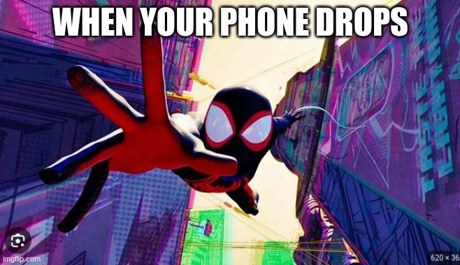 when phone drops | WHEN YOUR PHONE DROPS | image tagged in funny memes,so true memes | made w/ Imgflip meme maker