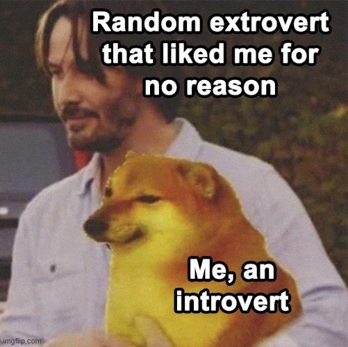 True story :D except I'm not an introvert... | made w/ Imgflip meme maker