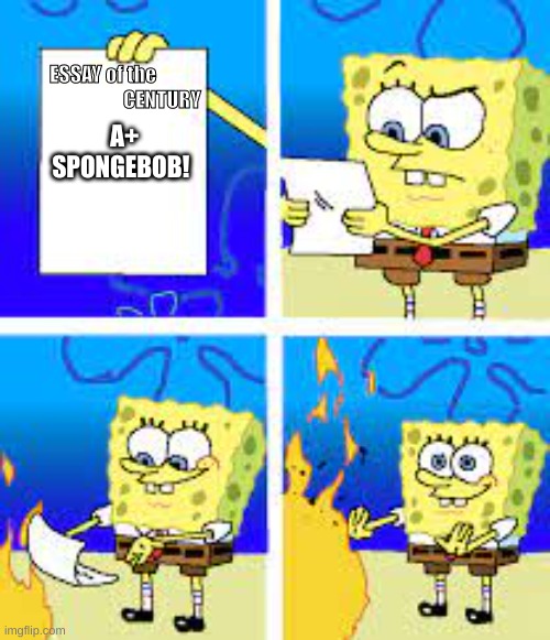 A+ | A+
 SPONGEBOB! ESSAY of the 
                   CENTURY | image tagged in funny | made w/ Imgflip meme maker