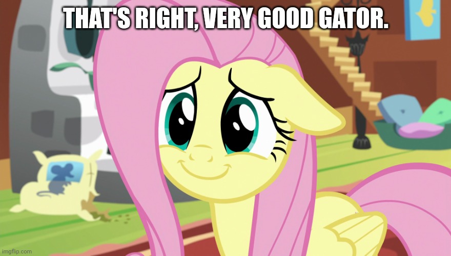 Shyabetes (MLP) | THAT'S RIGHT, VERY GOOD GATOR. | image tagged in shyabetes mlp | made w/ Imgflip meme maker