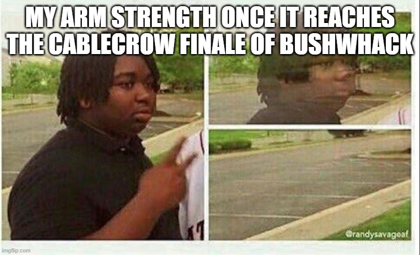 Bushwhack's not too bad until Cablecrow's final part at the end | MY ARM STRENGTH ONCE IT REACHES THE CABLECROW FINALE OF BUSHWHACK | image tagged in black guy disappearing,zardy's maze,fnf | made w/ Imgflip meme maker