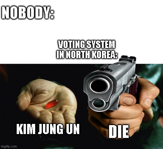 pick 1, or pick death | NOBODY:; VOTING SYSTEM IN NORTH KOREA:; KIM JUNG UN; DIE | image tagged in red pill blue pill | made w/ Imgflip meme maker