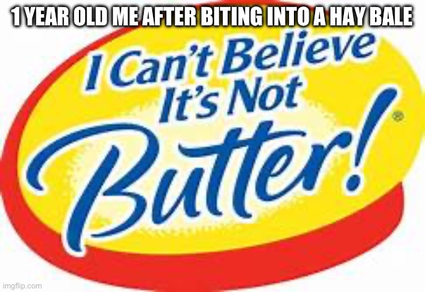 I was so stoopid | 1 YEAR OLD ME AFTER BITING INTO A HAY BALE | image tagged in i can't believe it's not butter,butterboi | made w/ Imgflip meme maker