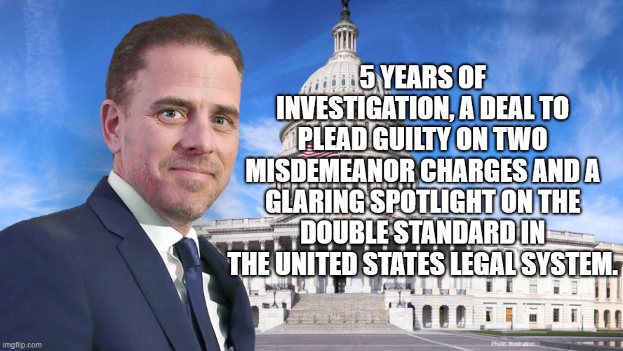 I'm not angry, I'm just disappointed. | 5 YEARS OF INVESTIGATION, A DEAL TO PLEAD GUILTY ON TWO MISDEMEANOR CHARGES AND A GLARING SPOTLIGHT ON THE DOUBLE STANDARD IN THE UNITED STATES LEGAL SYSTEM. | image tagged in hunter biden,double standards | made w/ Imgflip meme maker
