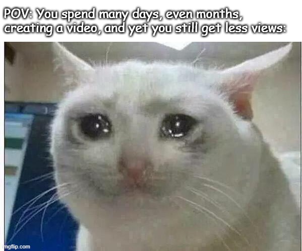 some people could relate to this | POV: You spend many days, even months, creating a video, and yet you still get less views: | image tagged in crying cat | made w/ Imgflip meme maker