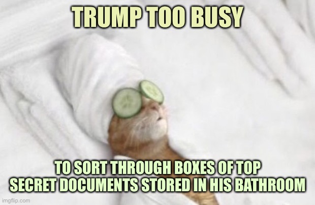 Too Busy | TRUMP TOO BUSY; TO SORT THROUGH BOXES OF TOP SECRET DOCUMENTS STORED IN HIS BATHROOM | image tagged in too busy,memes | made w/ Imgflip meme maker