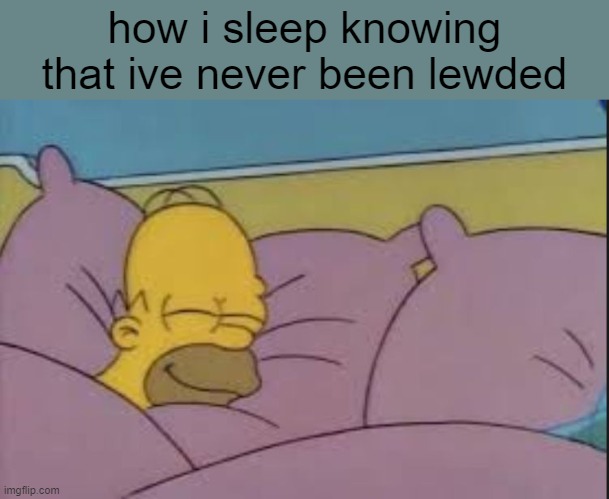 how i sleep homer simpson | how i sleep knowing that ive never been lewded | image tagged in how i sleep homer simpson | made w/ Imgflip meme maker