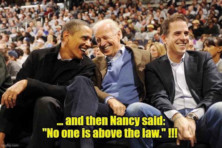 hunter,joe,obama | ... and then Nancy said: "No one is above the law." !!! | image tagged in hunter joe obama | made w/ Imgflip meme maker