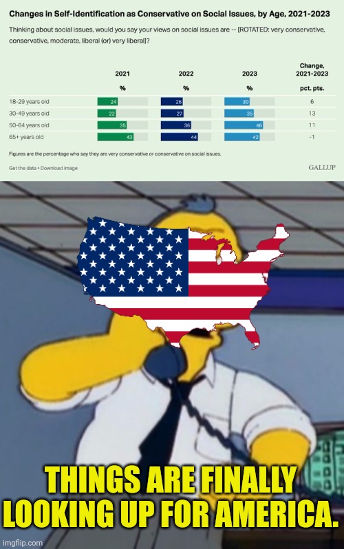 Things are looking up | THINGS ARE FINALLY LOOKING UP FOR AMERICA. | image tagged in things are finally looking up for old gil,liberal vs conservative,freedom in murica | made w/ Imgflip meme maker