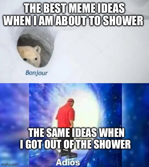 We all know the problem | THE BEST MEME IDEAS WHEN I AM ABOUT TO SHOWER; THE SAME IDEAS WHEN I GOT OUT OF THE SHOWER | image tagged in bonjur adios | made w/ Imgflip meme maker