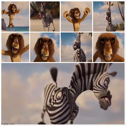 Remember this scene from Madagascar | image tagged in oh sugar honey iced tea | made w/ Imgflip meme maker