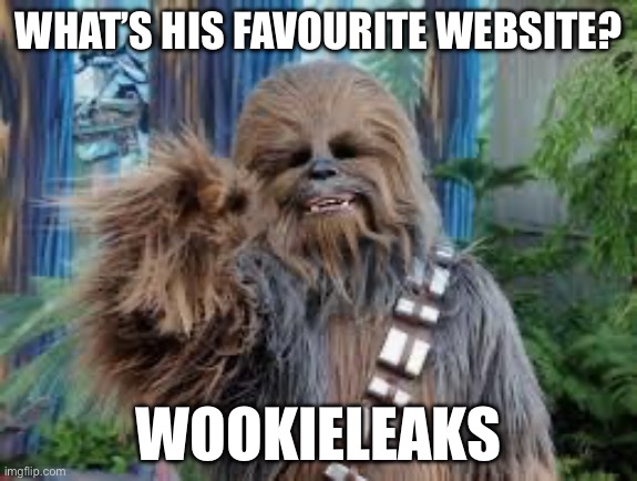 Chewbacca’s favourite | WHAT’S HIS FAVOURITE WEBSITE? WOOKIELEAKS | image tagged in chewbacca laughing,wikileaks,wookie,leaks,website | made w/ Imgflip meme maker