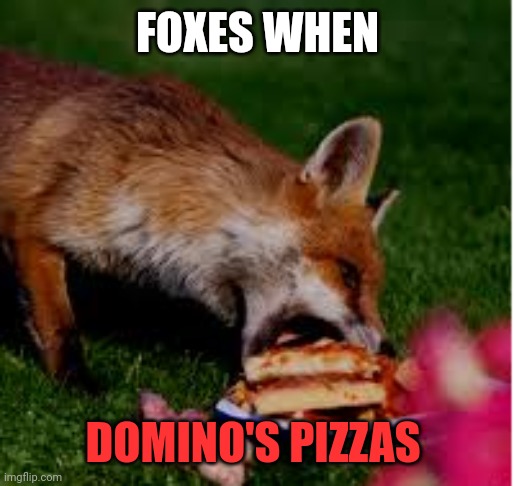 Important fox facts | FOXES WHEN; DOMINO'S PIZZAS | image tagged in important,fox,facts | made w/ Imgflip meme maker