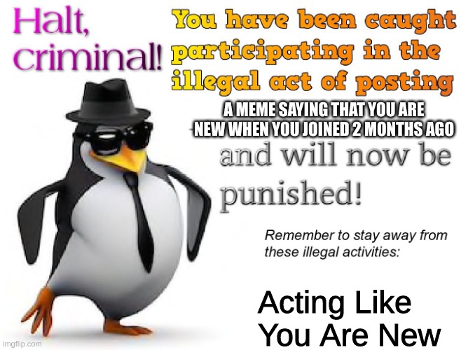 halt criminal! | A MEME SAYING THAT YOU ARE NEW WHEN YOU JOINED 2 MONTHS AGO Acting Like You Are New | image tagged in halt criminal | made w/ Imgflip meme maker