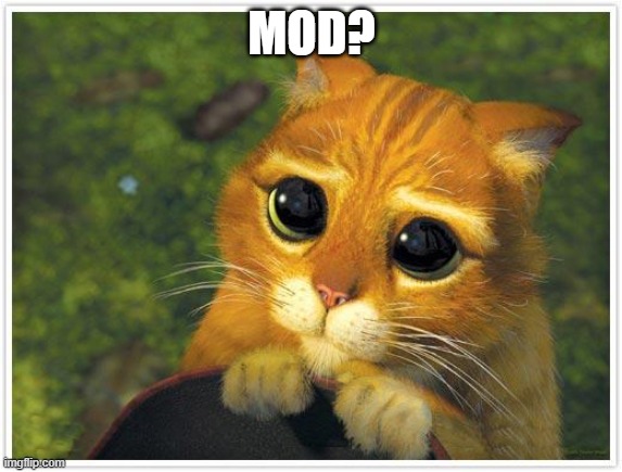 Mod? | MOD? | image tagged in memes,shrek cat | made w/ Imgflip meme maker