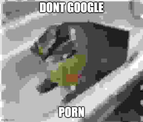 Very low quality floppa | DONT GOOGLE; PORN | image tagged in very low quality floppa | made w/ Imgflip meme maker