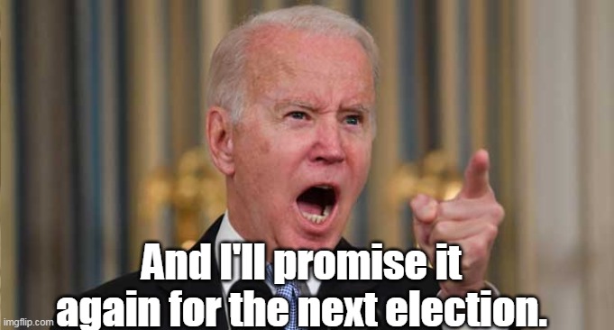 And I'll promise it again for the next election. | made w/ Imgflip meme maker