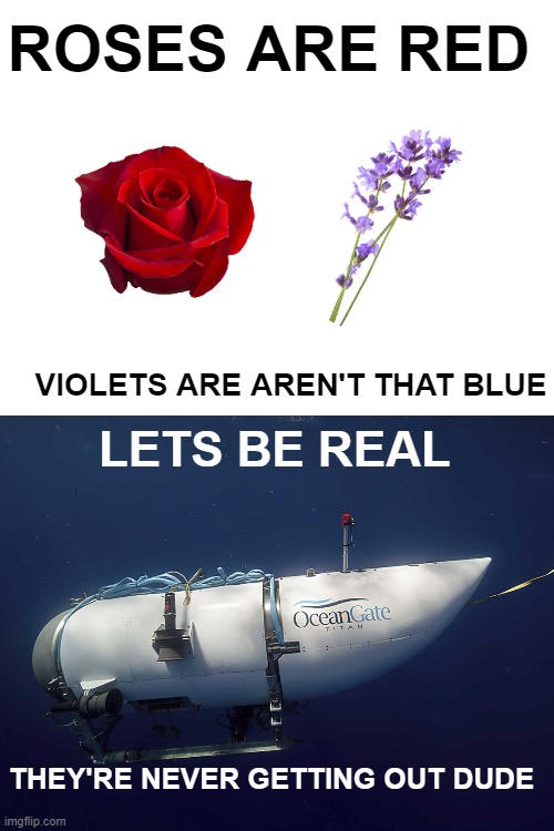 Yikes | ROSES ARE RED; VIOLETS ARE AREN'T THAT BLUE; LETS BE REAL; THEY'RE NEVER GETTING OUT DUDE | image tagged in submarine,fun,sad but true | made w/ Imgflip meme maker