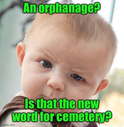 Skeptical Baby Meme | An orphanage? Is that the new word for cemetery? | image tagged in memes,skeptical baby | made w/ Imgflip meme maker