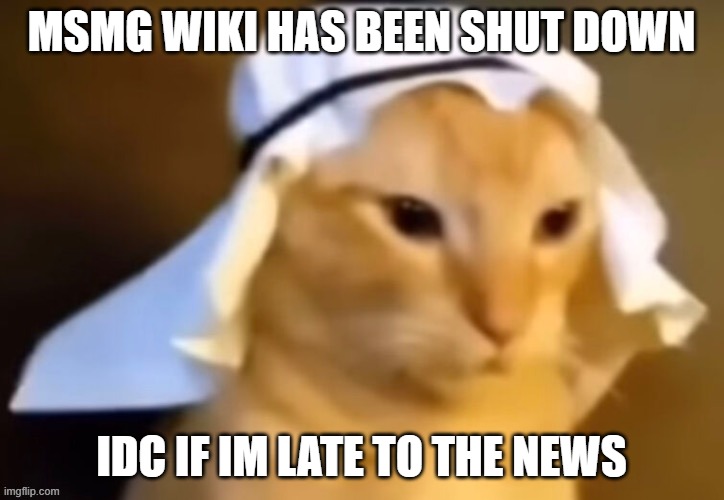 haram cat | MSMG WIKI HAS BEEN SHUT DOWN; IDC IF IM LATE TO THE NEWS | image tagged in haram cat | made w/ Imgflip meme maker