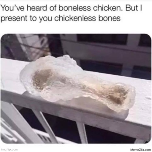 diet chicken | image tagged in frozen,chicken,bones,dad joke,funny,lol | made w/ Imgflip meme maker