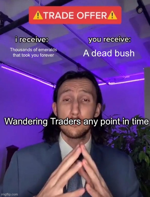 Trade Offer | Thousands of emeralds that took you forever A dead bush Wandering Traders any point in time | image tagged in trade offer | made w/ Imgflip meme maker