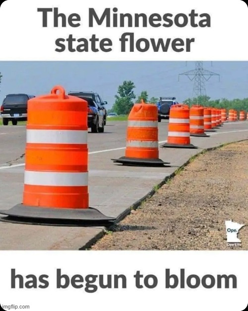 it started blooming in my area | made w/ Imgflip meme maker