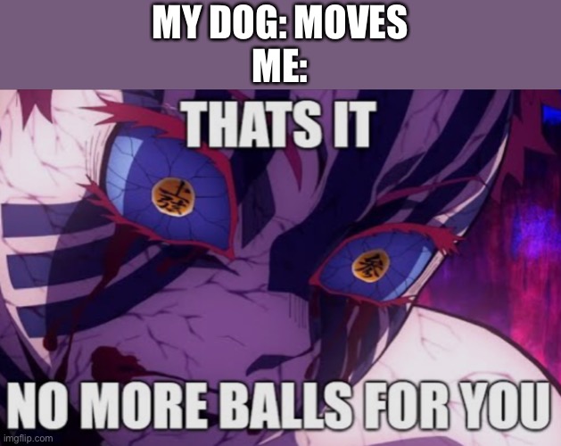 I don’t have a dog | MY DOG: MOVES
ME: | image tagged in demon slayer,funny | made w/ Imgflip meme maker