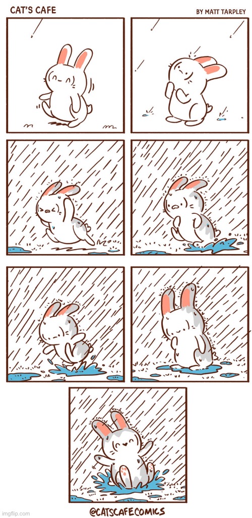 Rabbit in the rain | image tagged in rabbit,rain | made w/ Imgflip meme maker