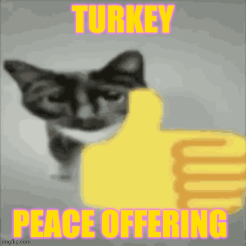 ? | TURKEY; PEACE OFFERING | image tagged in cat thumbs up | made w/ Imgflip meme maker