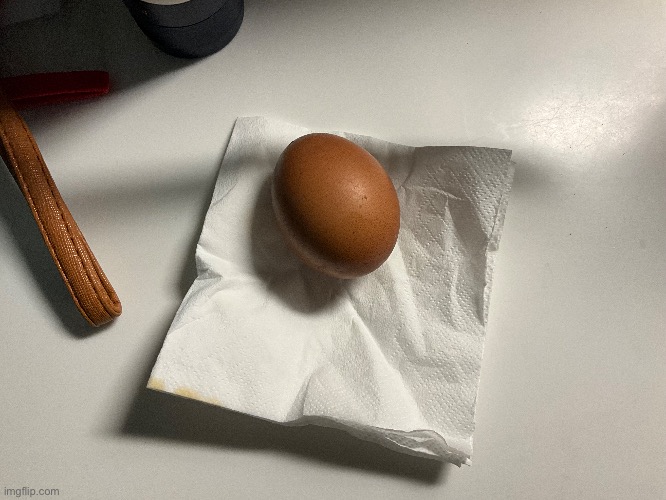 My pet egg! | image tagged in memes,photos,eggs,pets,pet egg | made w/ Imgflip meme maker